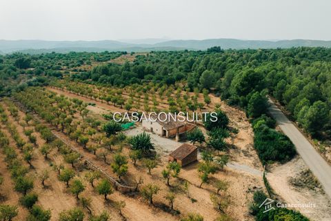 Masia a Les Useras, Castellon, Les Useras - € 140.000 | Ref: 874 - foto 22